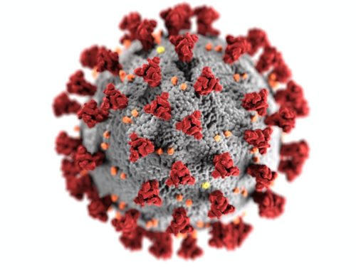 COVID-19 Virus - CDC